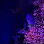 ヒメ日記 2026/04/15 17:42 投稿 桃沢りか お姉さんCLUB