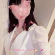 ヒメ日記 2026/06/11 20:51 投稿 すい ルピナス