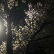 ヒメ日記 2026/04/13 08:04 投稿 メイ ミセスClub