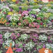 ヒメ日記 2026/04/28 19:32 投稿 みんと One More 奥様 千葉店