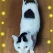 ヒメ日記 2026/06/30 19:32 投稿 みんと One More 奥様 千葉店