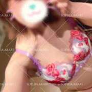ヒメ日記 2026/06/06 15:23 投稿 あかり SOPHIA（ソフィア）