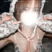 ヒメ日記 2026/09/19 21:23 投稿 あかり SOPHIA（ソフィア）
