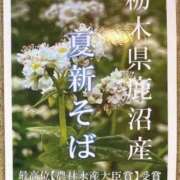 ヒメ日記 2026/06/17 16:19 投稿 りの ロイヤルヴィトン(宇都宮)