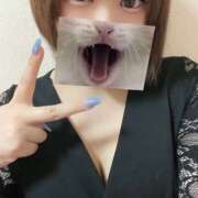 ヒメ日記 2026/04/13 20:37 投稿 えのき ハピネス東京