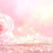 ヒメ日記 2026/04/19 12:34 投稿 三上-みかみ MSC 妄想紳士倶楽部 鶯谷店