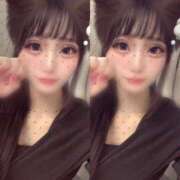 ヒメ日記 2026/04/20 07:35 投稿 小日向いちご 水戸ソープ アイドル彼女