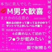 市原聖【元グラビアでH乳S娘】 🦋他己紹介💌 Club Rosa