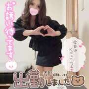 ヒメ日記 2026/05/09 12:13 投稿 文迦-Fumika- 姉新地
