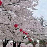 ヒメ日記 2026/04/11 13:01 投稿 すずか ジュエルズ