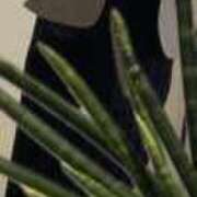 ヒメ日記 2026/04/30 18:10 投稿 春日部 新宿人妻城