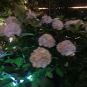 ヒメ日記 2026/06/30 02:44 投稿 春日部 新宿人妻城