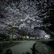 ヒメ日記 2026/04/13 11:05 投稿 くろみ えぷどる