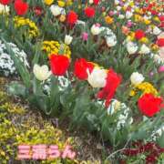 ヒメ日記 2026/04/19 14:52 投稿 三浦らん 麗しいマダム