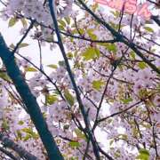 ヒメ日記 2026/04/22 12:35 投稿 三浦らん 美魔女エステ