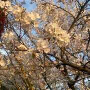 ヒメ日記 2026/04/13 08:32 投稿 重盛 新宿人妻城