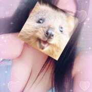 るい 初めまして(=・ω・）ノ 福島駅前ちゃんこ