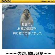 ヒメ日記 2026/04/12 20:50 投稿 まゆか 尼妻（あまづま）