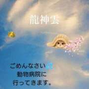 ヒメ日記 2026/04/17 08:27 投稿 まゆか 尼妻（あまづま）