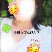 ヒメ日記 2026/06/12 13:09 投稿 まゆか 尼妻（あまづま）