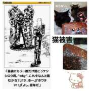 ヒメ日記 2026/06/27 22:44 投稿 まゆか 尼妻（あまづま）