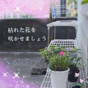 ヒメ日記 2026/07/10 19:30 投稿 まゆか 尼妻（あまづま）