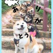 ヒメ日記 2026/07/20 15:23 投稿 まゆか 尼妻（あまづま）
