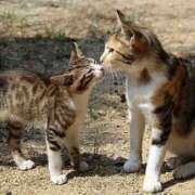 なぎさ 本日体験入店♡完売ありがとうございます わちゃわちゃ密着リアルフルーちゅ西船橋