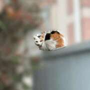 ヒメ日記 2026/04/22 22:48 投稿 なぎさ わちゃわちゃ密着リアルフルーちゅ西船橋