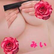 ヒメ日記 2026/04/11 22:30 投稿 みい Ｓ＆Ｍ極嬢