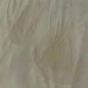 白鳥（しらとり） おはようございます❤️ 熟女の風俗最終章 大宮店