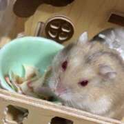 ヒメ日記 2026/06/13 21:52 投稿 ちなみ 土浦ハッピーマットパラダイス