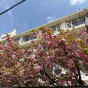 ヒメ日記 2026/04/20 06:35 投稿 りり 熟女デリヘル倶楽部