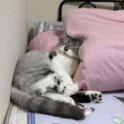 ヒメ日記 2026/04/13 23:45 投稿 れお ニュー姫