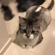 ヒメ日記 2026/04/15 13:45 投稿 れお ニュー姫