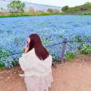 ヒメ日記 2026/04/29 12:26 投稿 いのり Okini川越