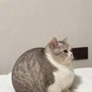 ヒメ日記 2026/04/19 11:15 投稿 りあな 新宿・本格コスプレ美人秘書オフィスイメクラ「秘書課女子」