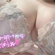 ヒメ日記 2026/04/13 12:03 投稿 らん 蒼いうさぎ
