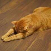 ヒメ日記 2026/04/12 10:40 投稿 まな Queen Angel(クイーンエンジェル)