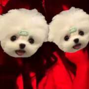 ゆな ゆのちゃんと🫶🏻🩵 神田はっち