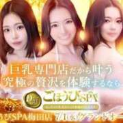 ヒメ日記 2026/07/01 10:09 投稿 ほたる ごほうびSPA 大阪店