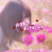 ヒメ日記 2026/04/29 14:02 投稿 みに 奴隷コレクション梅田店