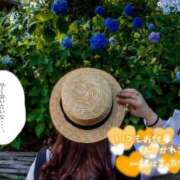 ヒメ日記 2026/07/20 13:01 投稿 みに 奴隷コレクション梅田店