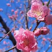 ヒメ日記 2026/04/19 13:37 投稿 奈美(なみ) 可憐な妻たち 高崎店