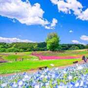 ヒメ日記 2026/04/21 17:40 投稿 奈美(なみ) 可憐な妻たち 高崎店