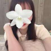 ヒメ日記 2026/04/11 19:32 投稿 みれい【神々しいほどに優美】 STELLA TOKYO－ステラトウキョウ－