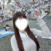 みれい【神々しいほどに優美】 ごめんなさい🥲 STELLA TOKYO－ステラトウキョウ－