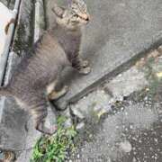 ヒメ日記 2026/05/06 18:04 投稿 もえ モアグループ宇都宮人妻花壇