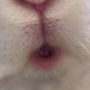 ヒメ日記 2026/04/21 17:03 投稿 まゆゆ オフィスアロマ