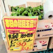ヒメ日記 2026/09/14 21:20 投稿 あゆみ 妻天 梅田店